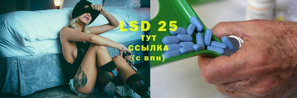 мяу мяу мука Баксан