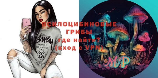 мяу мяу мука Баксан