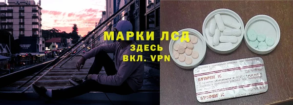 шишки Балахна